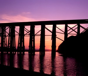 Fort Bragg by Laurin Rinder