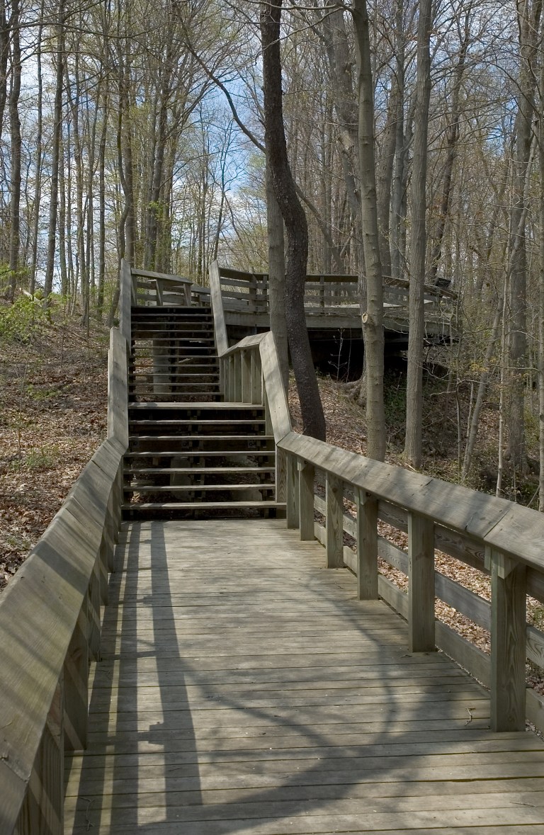 dreamstimefree_117328 David Coleman