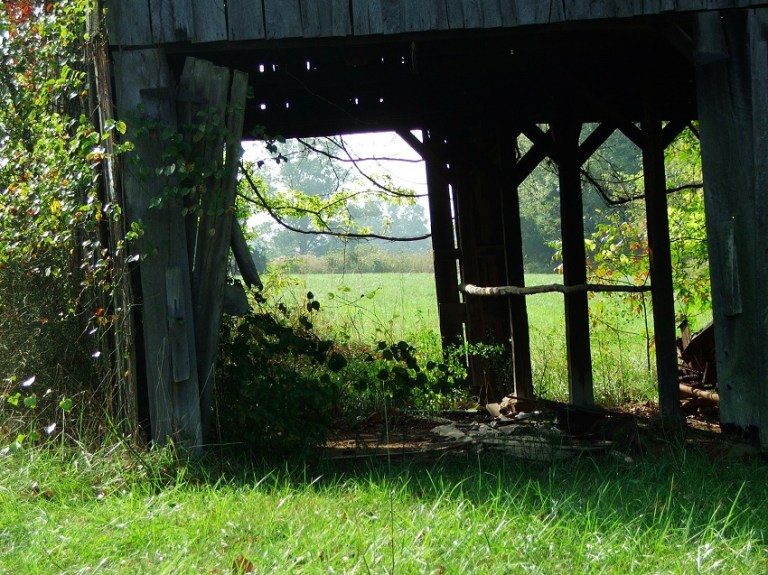 Looking Through - © Righteousseeds