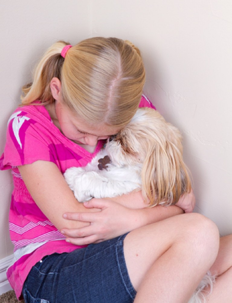 Sad Dog In The Corner © Sjhuls