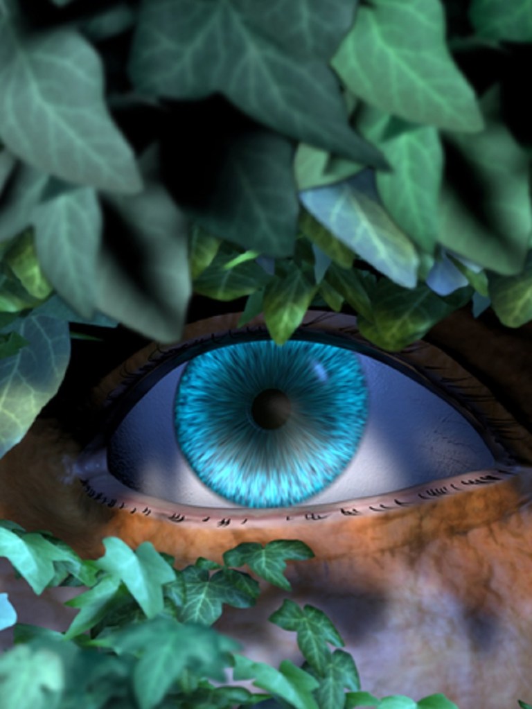 The Stalker - Blue Eye Behind Leaves - © Stefanie Winkler