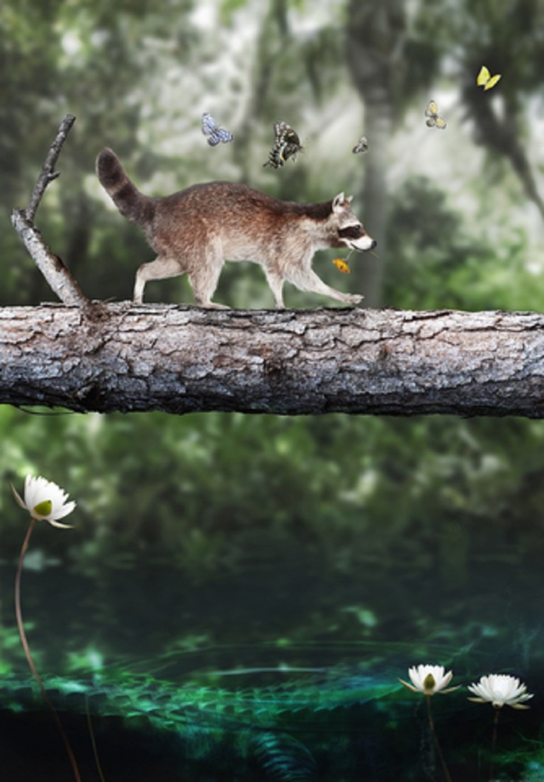 Traveling Companions - Eti Swinford.jpg