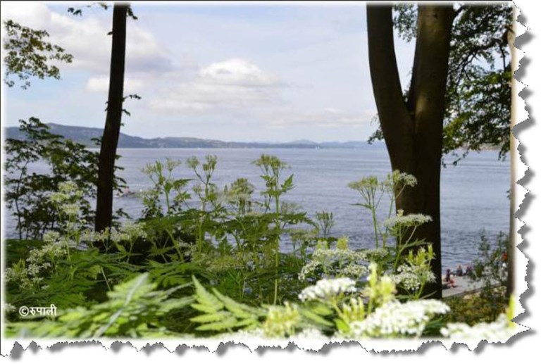 Rupali - Wordless Wednesday