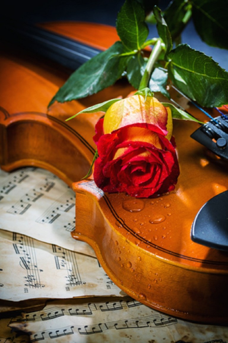 Violin Sheet Music and Rose © Netfalls.jpg