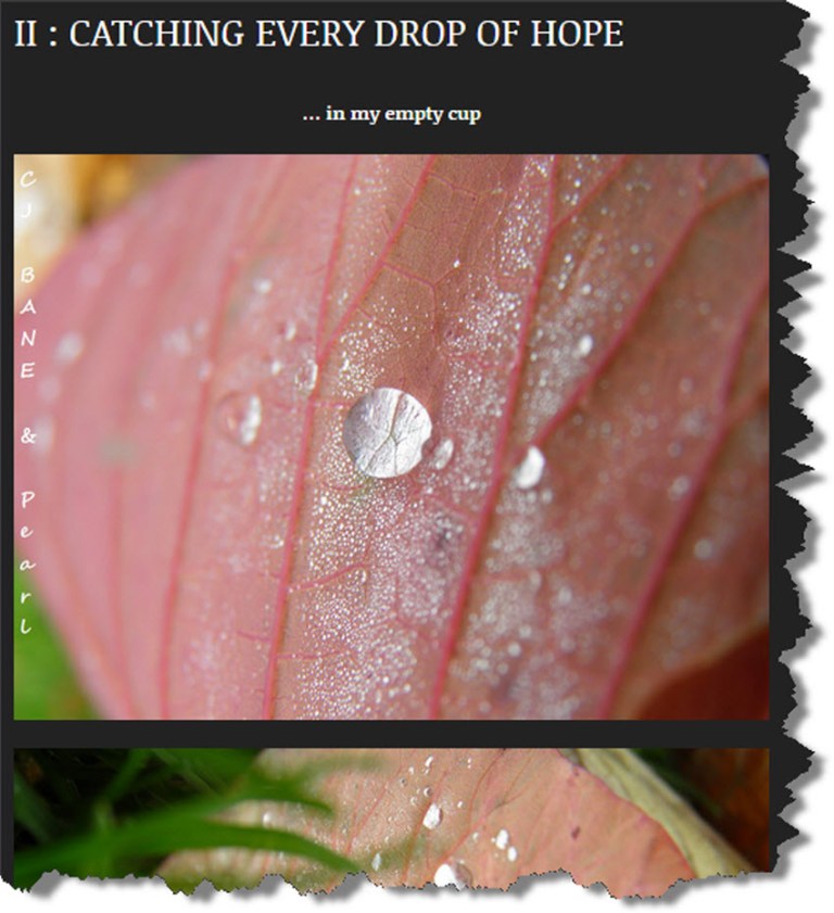 CJ Bane and Pearl 1.jpg