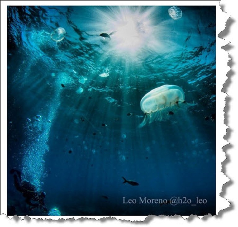 Leo Moreno Featured on Indahs Page.jpg