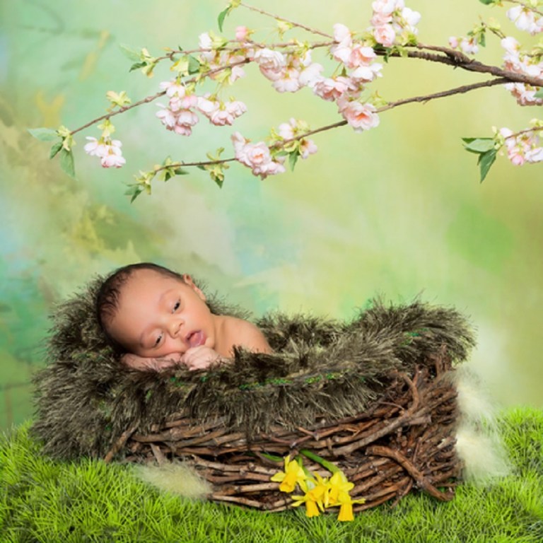 Springtime Newborn Baby © Photowitch.jpg