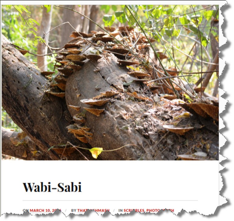 That Mishmash Wabi Sabi.jpg